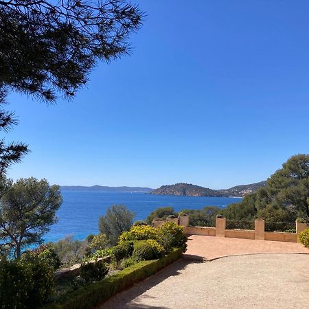 Studio 110 Grande Terrasse Proche Mer Bandol Exterior photo